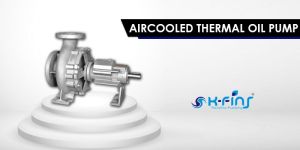Aircooled Thermal Oil Pump