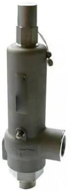 Cryogenic Safety Relief Valve