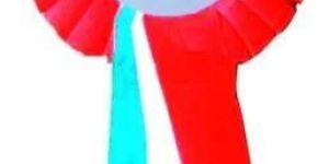 Satin Ribbon Badge