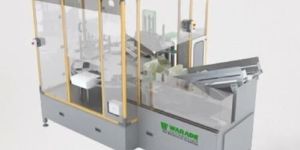 Warade Packtech Vertical Cartoner