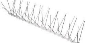 Anti Bird Spike