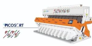 Garlic Sorting Machine