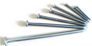 Common Iron Nails