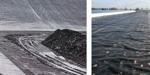 Geomembrane