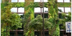 Vertical Garden