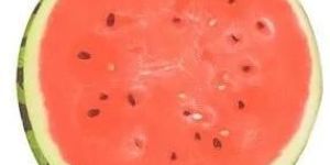 Watermelon Printed Sofa Cushion