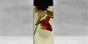 Jasmine Fragrances