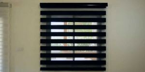 Zebra Blinds