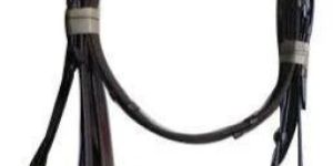 Horse Black Bridle