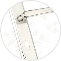 Stainless Steel Mortice Handles