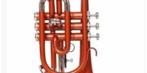 Bb Flat Cornet