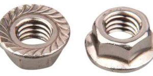 SS Flange Nut