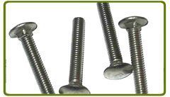 Carriage Bolts