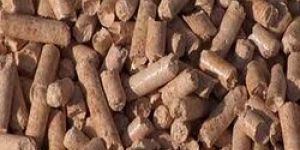 Bio Coal Pellets