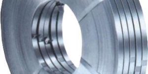 Stainless Steel Strips