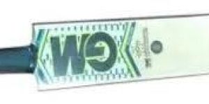 GM Cricket Bat