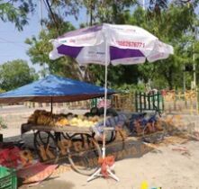 Advertising Umbrella