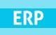 ERP Data Management Service