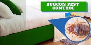 BEDBUG CONTROL