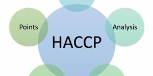 Haccp Certification Services