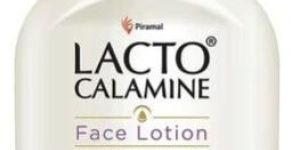 Lacto Calamine Face Lotion