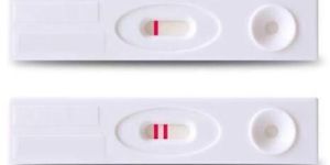 Pregnancy Kits
