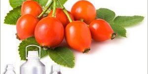 Rosehip Carrier Oil