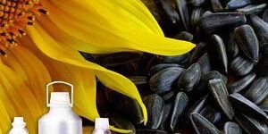 Sunflower Carrier Oil