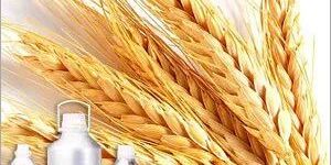 Wheat Germ Carrier Oil