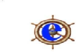 FOCUS EXPORT & IMPORT ONLINE FILING SOFTWARE