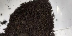 Compost Fertilizer