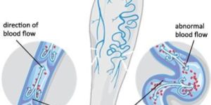 Dog Health Care Products