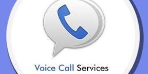 Voice Call Services