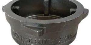 Disc Check Valve