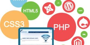 Web Development Training Services