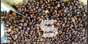 Arabica Coffee Beans