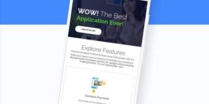 Business Application Development