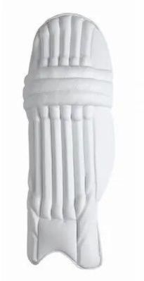 Cricket Batting Pads