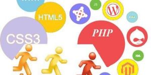 Dynamic Website Development