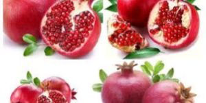 Pomegranate Fruit