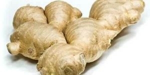 Raw Ginger
