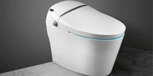Parryware Electronic Toilet Seat