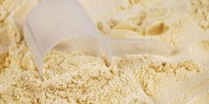 Whey Protein Concentrate Powder