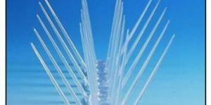 Polycarbonate Bird Spikes