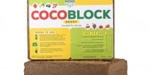 Coco Block