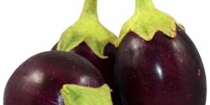 Fresh Brinjal
