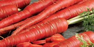 Fresh Red Carrot