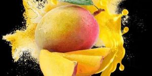 Spray Dried Mango (Alphanso)Powder