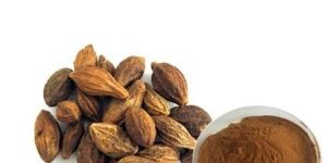Terminalia Chebula Extract