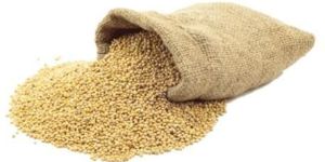 Millet